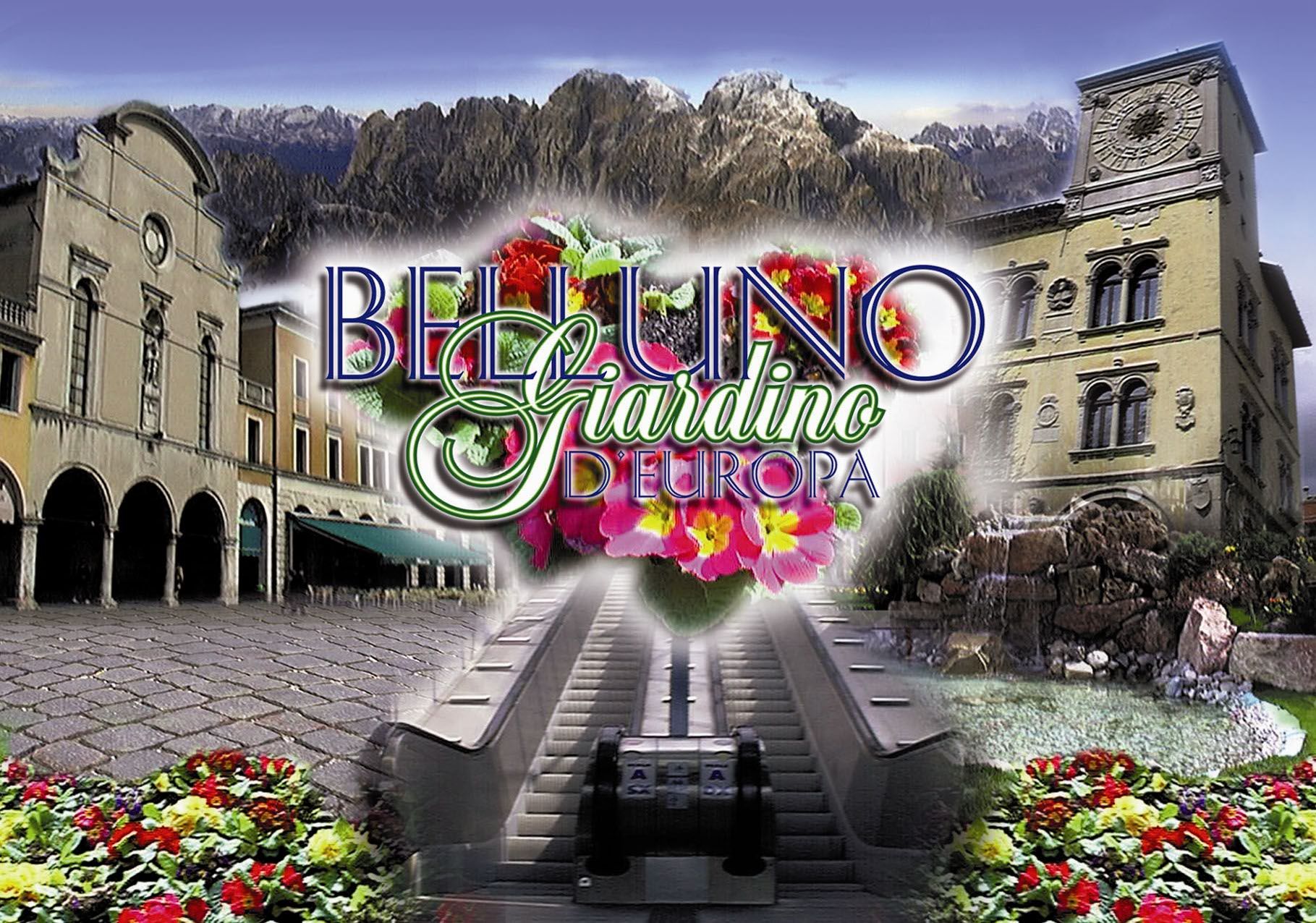 provincia di Belluno