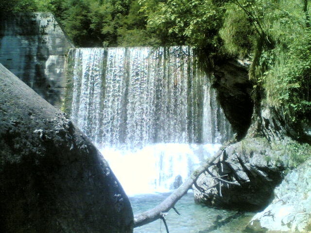 ardo