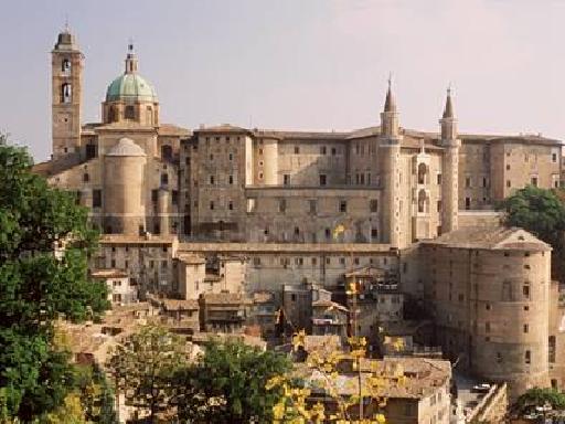 Urbino